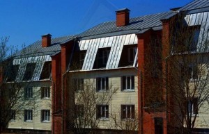 Эконом-таунхауз в поселке Елинская Слобода
